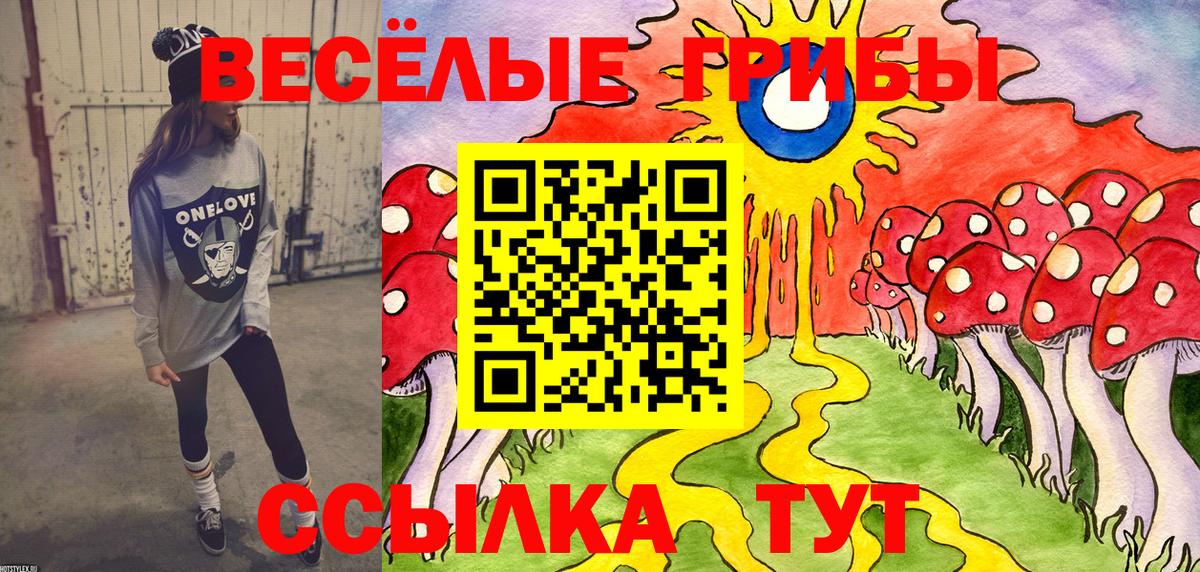 Галлюциногенные грибы Psilocybe  Вход с VPN  Дубна  Галлюциногенные грибы Magic Shrooms 